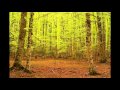 SIBELIUS -- Spring Song -- Lahti SO