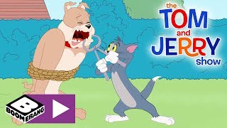 Have fun with the happos family playtime app. download available here
▶︎[ http://onelink.to/ez9aa5 ] spike recruits tom and jerry to
help him remove a bad to...