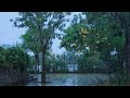 Rain Sounds For Sleeping - Let The Sound Of Rain Wash Away Your Sadness Tonight