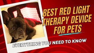 Benefits of Red Light Therapy for Dogs, Cats, & Horses | The Best Red Light Therapy Device for Pets