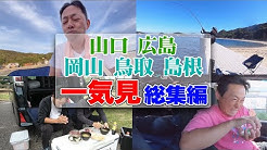 釣りいろは