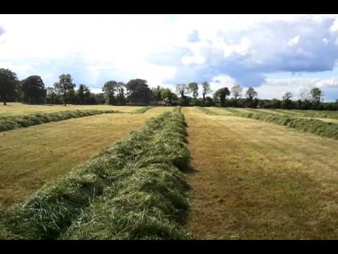 Mark Rickards At The Silage 2011 In Co.Meath Athbo...