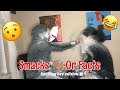 SMACKS OR FACTS CHALLENGE!!!! 😱🤣