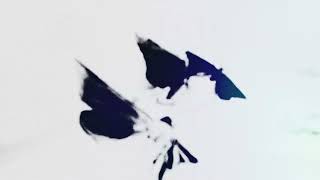 The Waeve - Moth To The Flame Official Visualiser