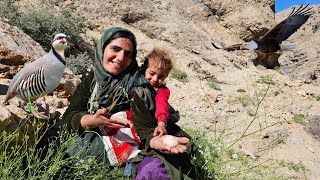 Ziba In Search Of Medicinal Plants: Discovery Of Bird Nests And Eggs In Sabzkouh, Bakhtiari Resimi