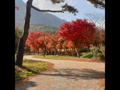 경마