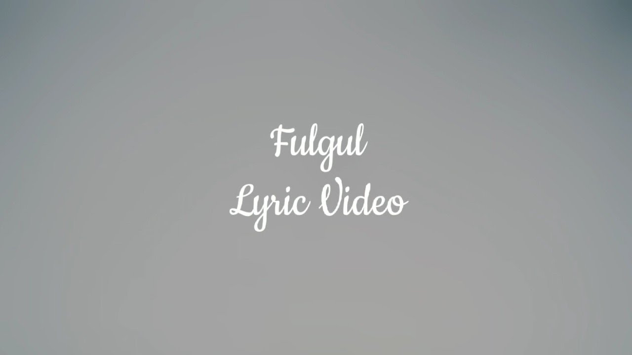 DJ Project x Holy Molly - Fulgul (Lyric Video) #freshtracks #lyrics