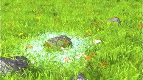 Fields of Grass (haptic OpenGL demo)