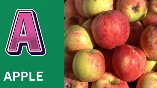ABC Phonics Song | Alphabet letter sounds | ABC learning for toddlers | Education ABC Nursery Rhymes