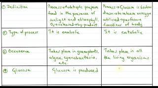 Uncovering the Differences: Photosynthesis vs Respiration