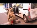 СБУ показала відео затримання француза