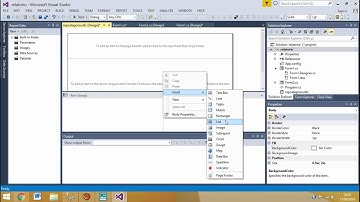 Criando relatórios com o Report no Visual Studio utilizando C# - Parte 1