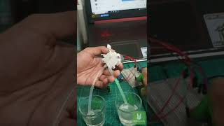 ESP8266 Button Controlled Water Pump 1