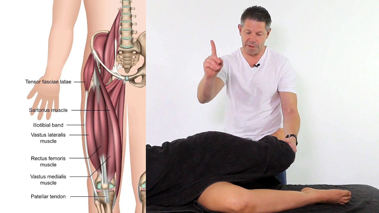 Treating the Iliotibial Band (ITB), Tensor Fasciae Latae (TFL), Hip  Restrictions, Hip, ITB, ITBS and more