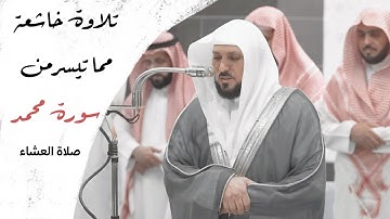 تلاوة بأداء متميز من الشيخ د. ماهر المعيقلي من سورة محمد صلاة العشاء ١١|شعبان|١٤٤٦هـ