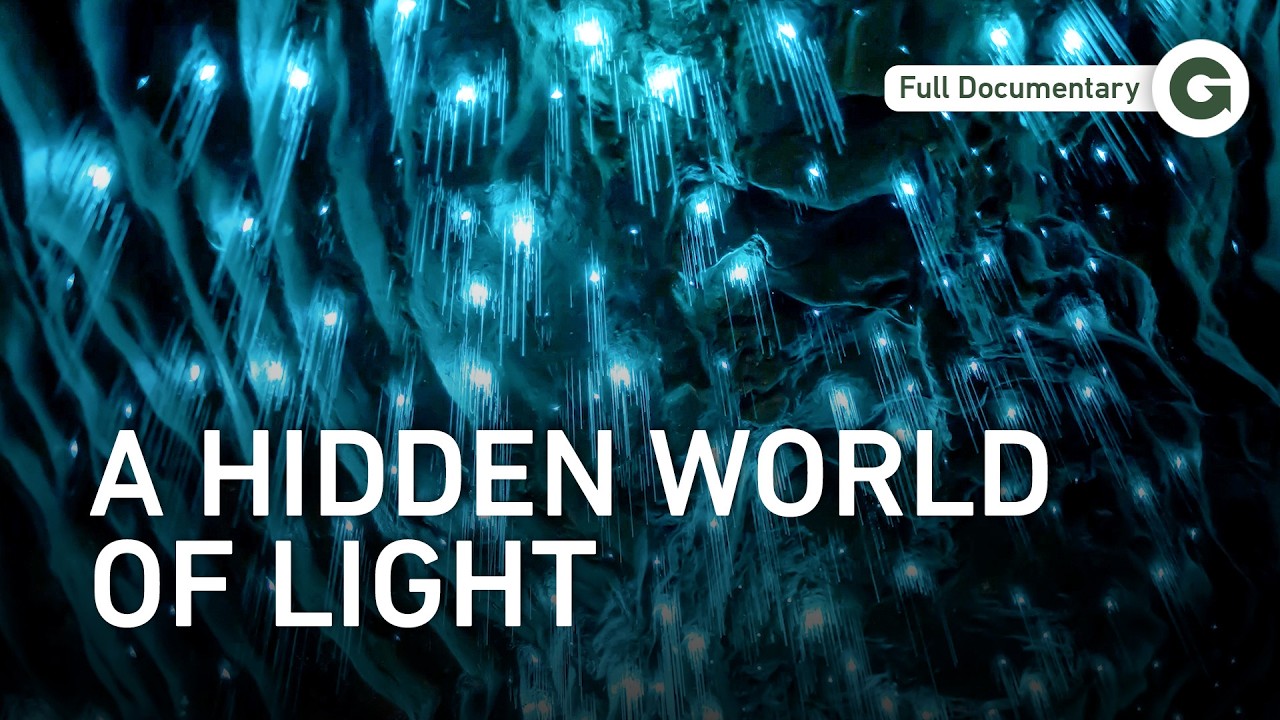 Modern Dinosaurs: Survivors of a Violent, Shifting New Zealand | Full Documentary