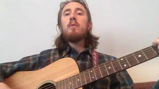 The Weakerthans - The Reasons (acoustic cover)