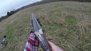 NC Quail Hunting With Lc Smith and GoPro