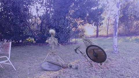 FxGuru Skeleton Warriors