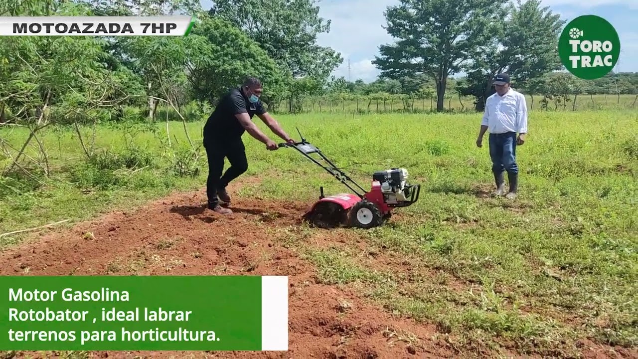 La motoazada de gasolina Torotrac prepara el suelo rápidamente. Ideal para  cría de aves y gallineros, más económica que usar tractores. — Torotrac -  Todo para tu Finca, granja o vivero