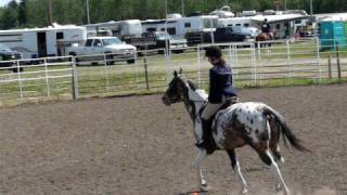 Puzzles English Equitation pattern lac la biche Profile