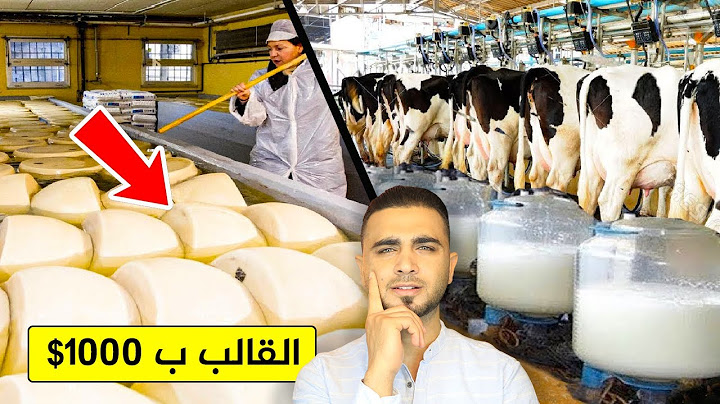 مصانع جبنة بارميزان تكشف الحقيقة😱أغلى جبنة في العالم😱من حليب البقر!