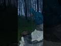 Solo camping heavy Rain #asmr #hiking #shorts #camping #nature #solocampinginheavyrain #rainsounds