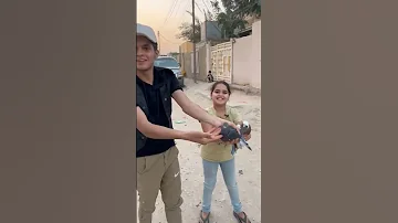 كرار العلي دانيه وكرار منو أفضل طير 