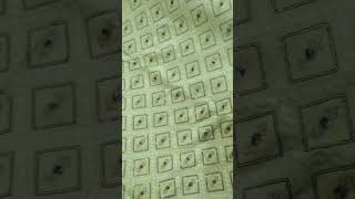 Pakistani Suit Market in Pakistan / What's App 0370-6938082