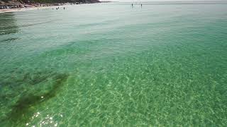 Over 100 Shark  Just off of Blue Mountain Beach Florida, TWO OF FIVE