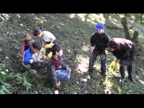 ლანჩხუთის სასულიერო გიმნაზია, მე-3 კლასი: ,, შემოდგომის მელოდია უკრავს\"