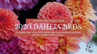 DAHLIAS: FULL TOUR   FRESHCUTKY 2020 Cut Flower Garden!