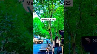 Melbourne Australia 2025, City Trams #walkthrough #summer #february