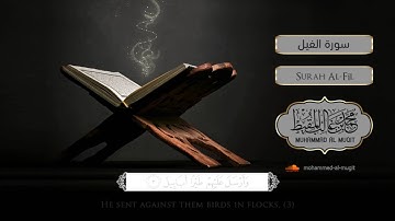 سورة الفيل | #محمد_المقيط
