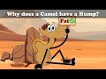 Educational Video Quiz