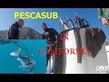 PescaSub in California [Francesco Sena]