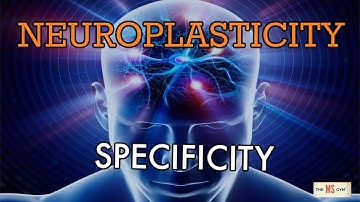 NeuroPlastic Nugget 10: SAID PRINCIPLE 1 - SPECIFICITY