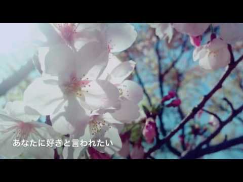 あなたに好きと言われたい 奥華子 歌 ゆるーくcoverシリーズ Youtube あなたに好きと言われたい 奥華子 歌 ゆるーくcoverシリーズ Youtube