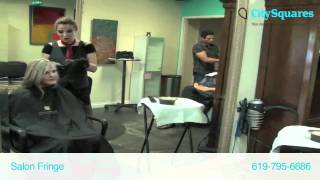 Salon Fringe