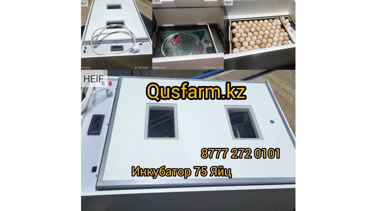 Инкубатор на 75 куриных яйц 