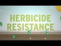 What is Herbicide Resistance?