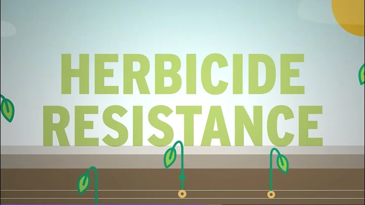 What is Herbicide Resistance?