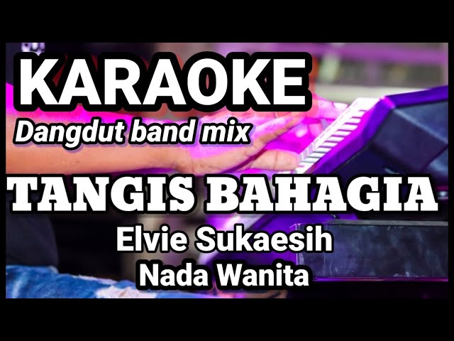 TANGIS BAHAGIA - Elvie Sukaesih | Karaoke dut band mix nada | Lirik class=