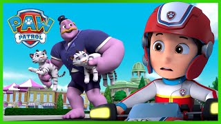 PAW PATROL STOP GIANT HUMDINGER AND MORE!