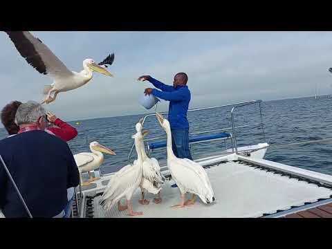 Путешествие по Намибии в 2023 году