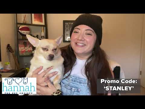 Show Your Pet You Love Them With TFC From Hannah The Pet Society