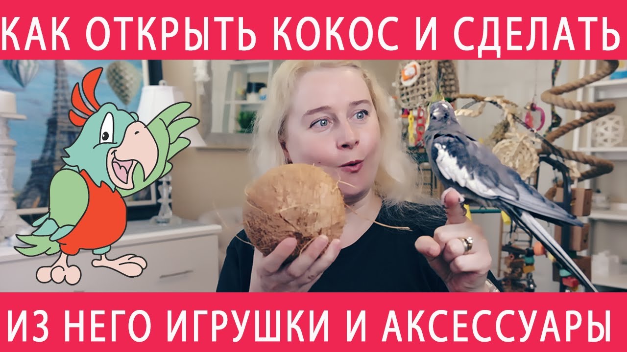 Игрушки для попугаев. Идеи игрушек своими руками. | VK