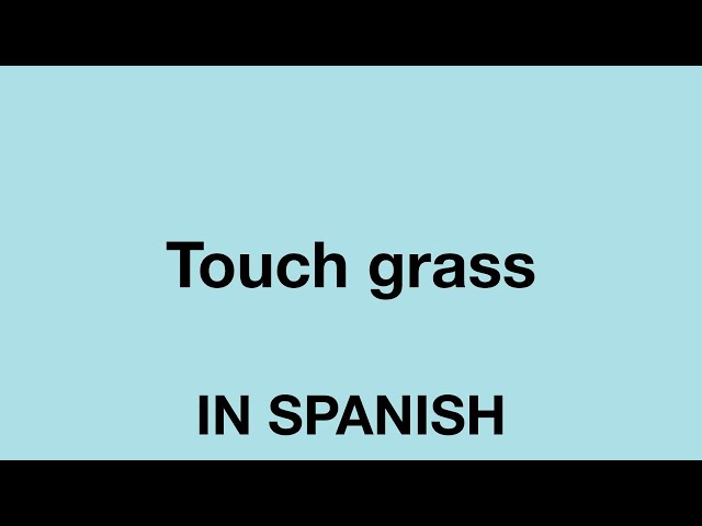 Touch Grass - What does touch grass mean?