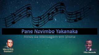 Instrumental Gospel - Pane Nzvimbo Yakanaka – Shona Hymns