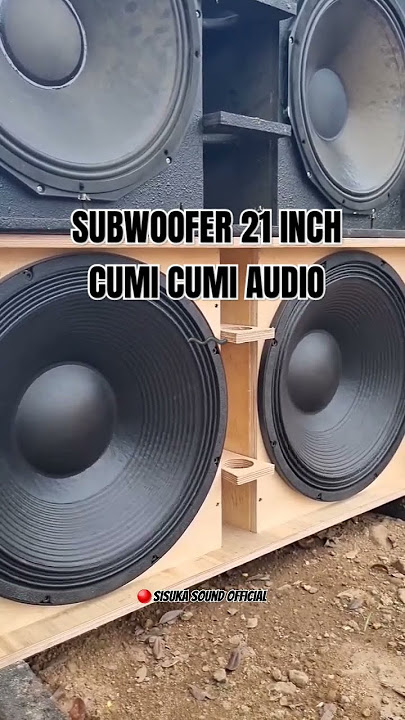 Subwoofer 21 inch terbaru ( Cumi cumi audio ) #subwoofer  #audiosystem #audio #horeg #viralshort #dj